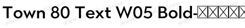 Town 80 Text W05 Bold字体转换